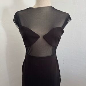 Elegant Black Sheer Dress